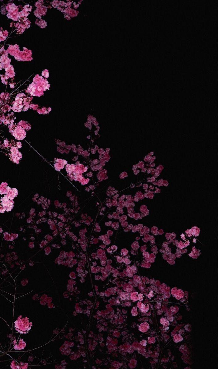 Mystical Sunrise: A Floral Symphony